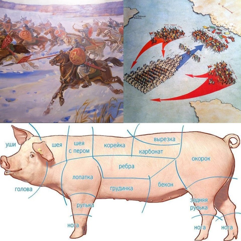 Create meme: pork butchering, pig parts, pork parts