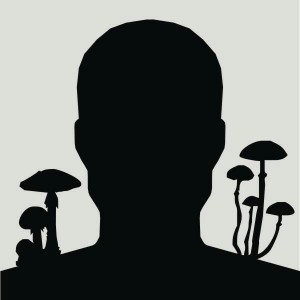 Create meme: a single customer profile icon, the guides are black in the head, bald man icon