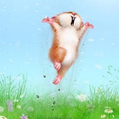 Create meme: hamster funny, a hamster with a raised paw, hamster 