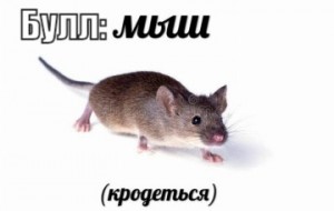 Create meme: meme Sonya rat, face rat, the mouse kradetsya figure