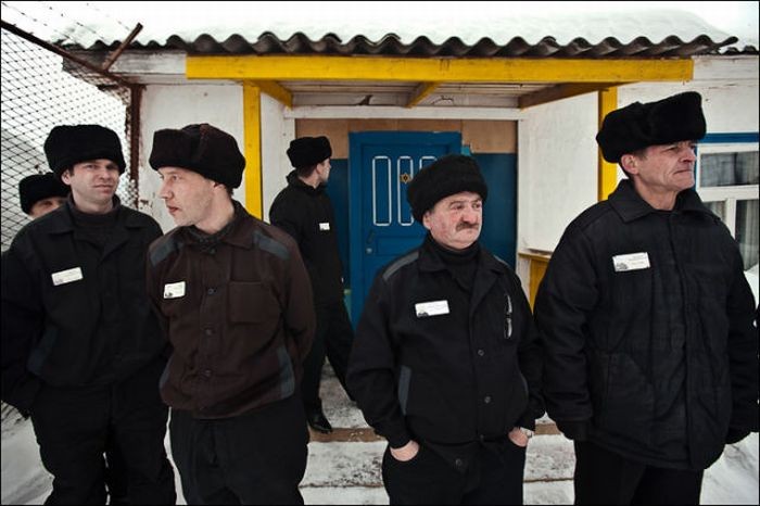 Create meme: high security zone, correctional colony of strict regime 12 of the Arkhangelsk region, high security colony