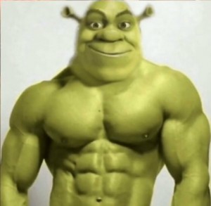 Create meme: Shrek