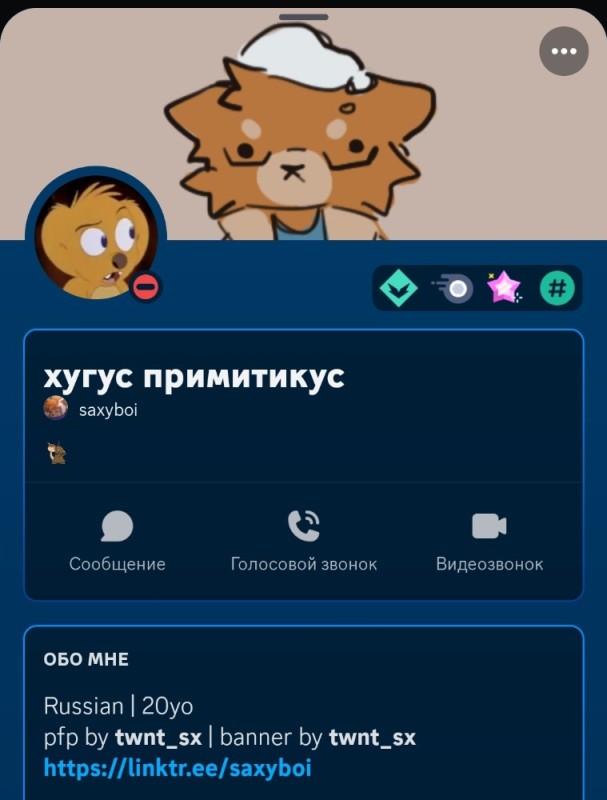 Create meme: game , cat , private messages