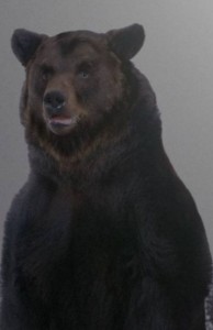Create meme: bear bear, black bear, grizzly bear