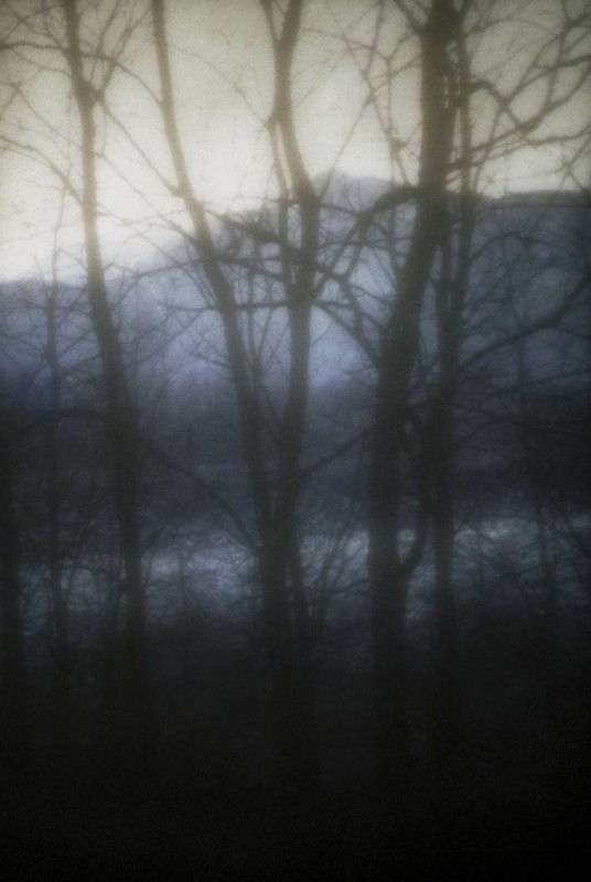 Create meme: dark forest, dark photos, Gloomy twilight