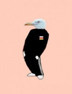 Create meme: Seagull
