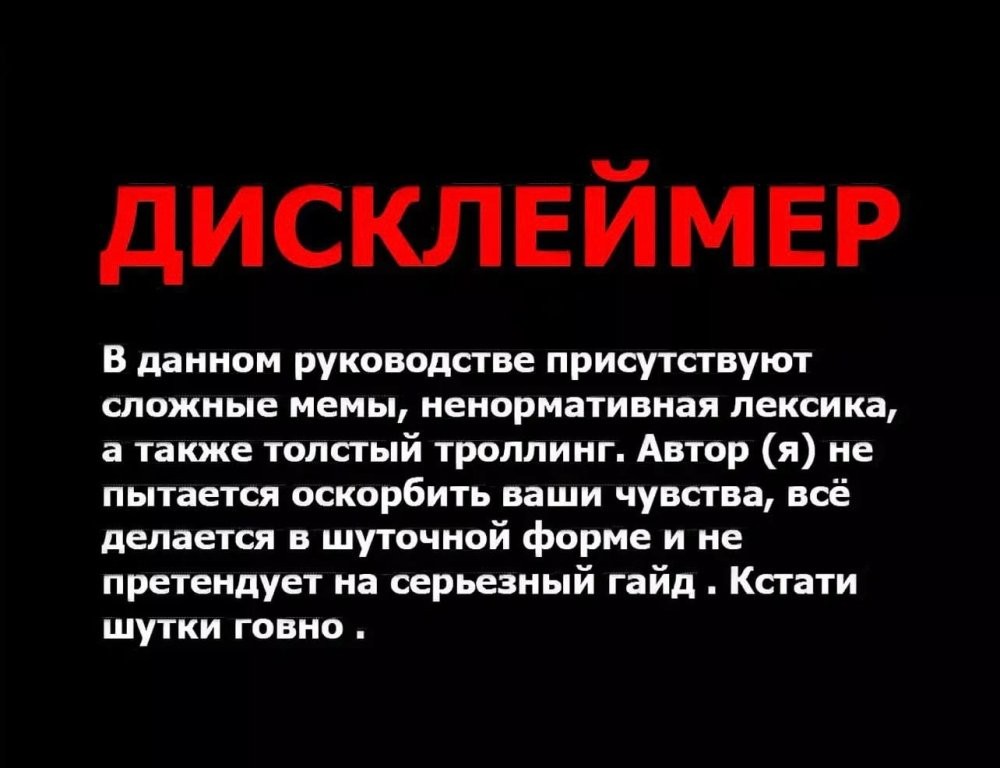 Дисклеймер для презентации