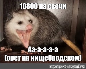 Создать мем: null