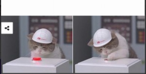 Создать мем: грустный кот в каске, кот в каске, котик нажимает на кнопку
