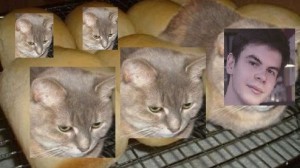 Создать мем: не ешь меня, cat, вы наверное подумали что я хлеб