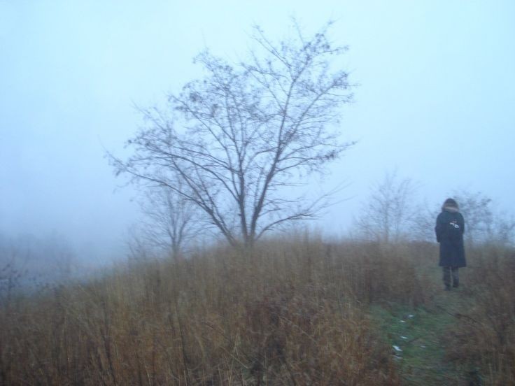 Create meme: people , landscape in fog, in the fog