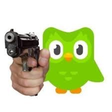 Create meme: duolingo owl, Gun in hand, owl duolingo