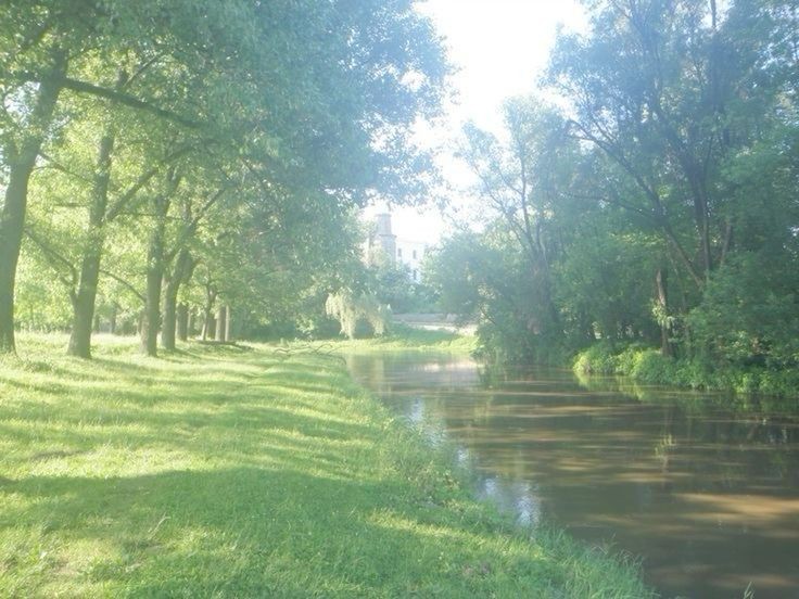 Create meme: Likhoborki River Valley Park, summer river, Nara river Naro-Fominsk