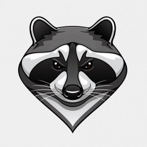 Создать мем: raccoon, frontend raccoon, raccoon logo