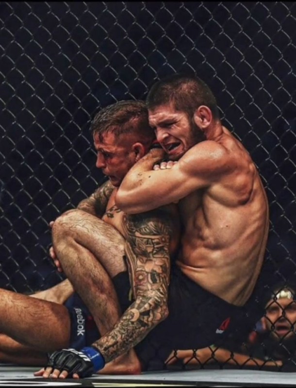 Create meme: Dustin Porye Khabib Nurmagomedov, Khabib Nurmagomedov ufc, fight-Habib 