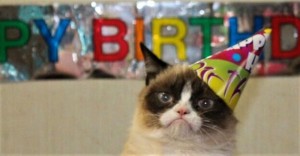 Create meme: sad cat birthday, cat, grumpy cat birthday