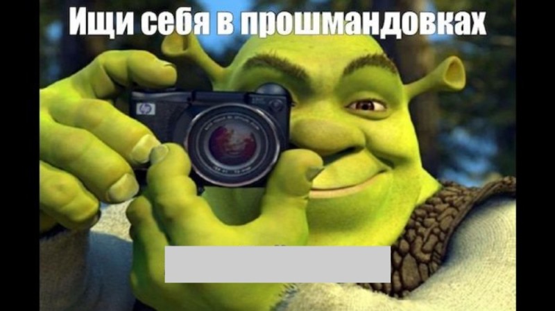 Create meme: Shrek with camera meme, Shrek , meme Shrek 