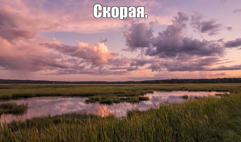 Создать мем: marsh, пейзажи пейзажи, пейзажи природа