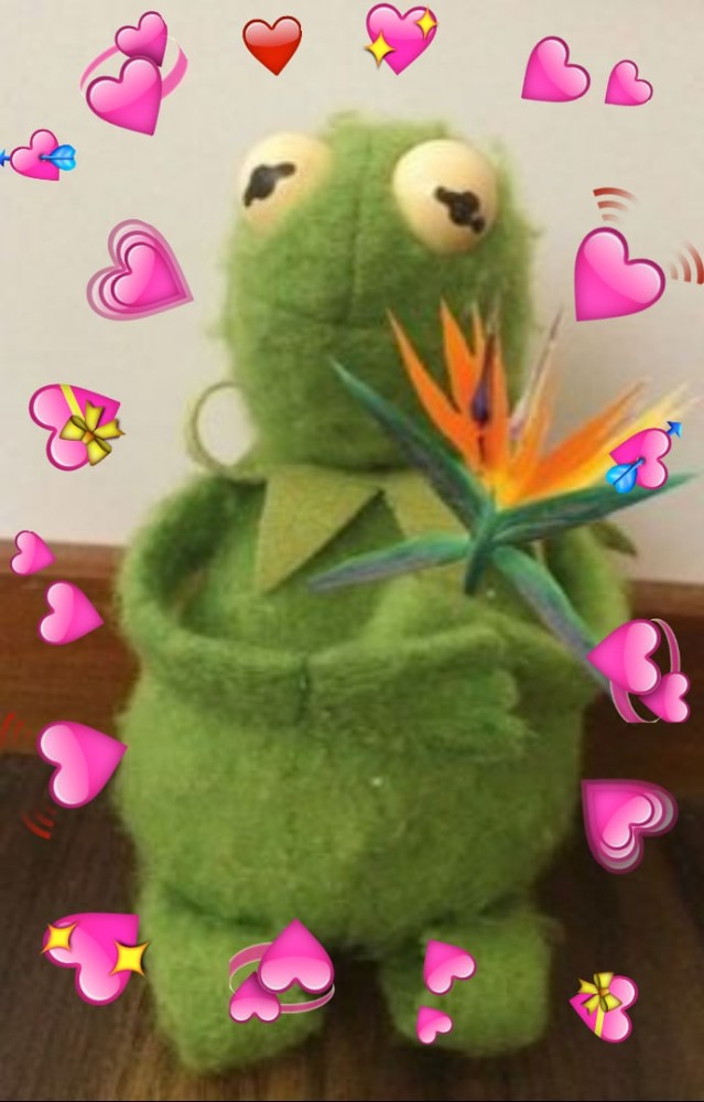 Pin On Kermit Meme, Heart Memes Hd Wallpaper Pxfuel, 43% Off