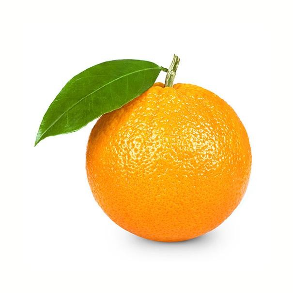 Create meme: orange , orange on a white background, wild orange on a white background