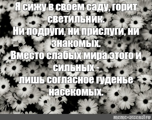 Мем мне этот мир понятен. Я сижу в своем саду горит светильник. Я сижу в своем саду горит светильник ни подруги ни прислуги. Я сижу в своем саду. Бродский я сижу в своем саду горит светильник.