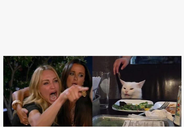 Create meme: meme with a cat and two women original, MEM woman and the cat, meme with two girls and a cat