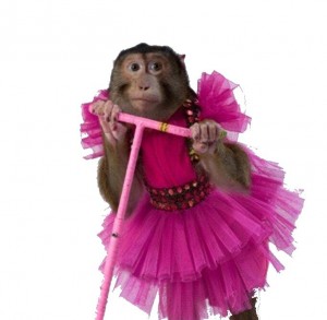 Создать мем: обезьянка в платье, праздничная обезьянка, цирковая обезьянка