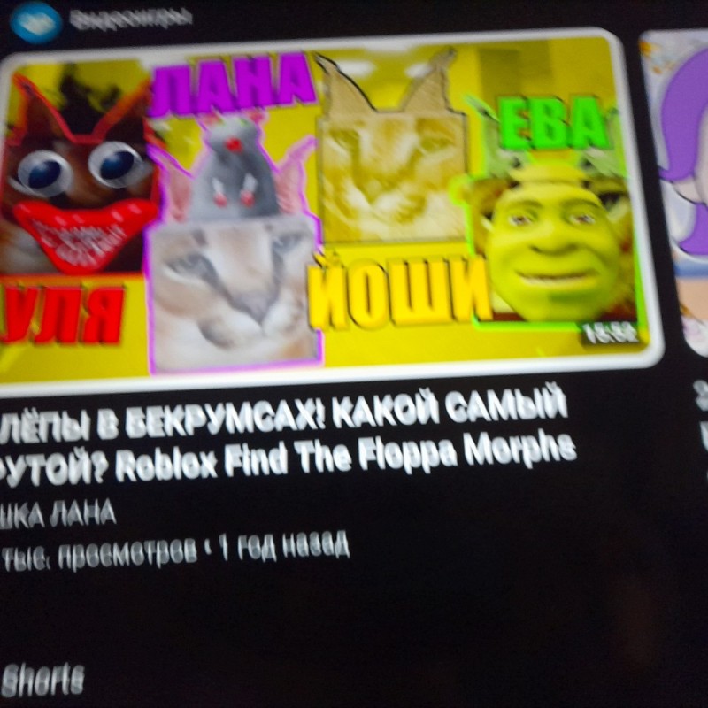 Create meme: my talking tom, roblox find the floppa morphs cat lana, talking tom and his friends