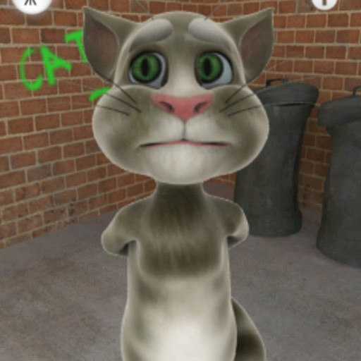 Create meme: talking Tom game, Talking Tom Cat game (2010), talking tom cat