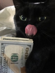 Создать мем: смешные коты, кот деньги, денежный кот