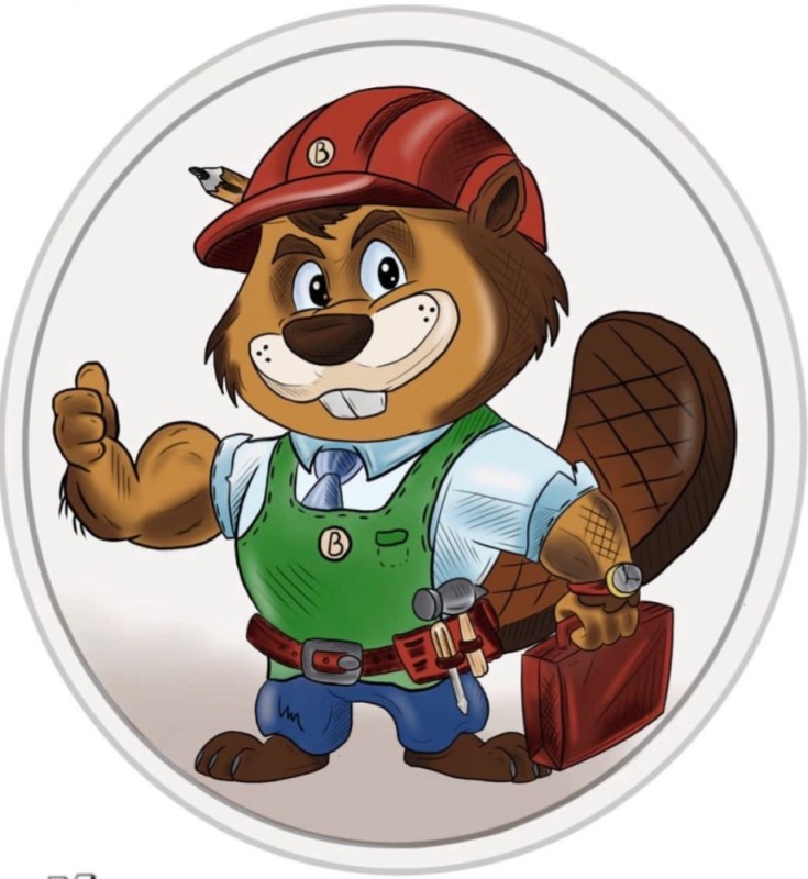 Create meme: Beaver the builder, beaver in a helmet, beaver 
