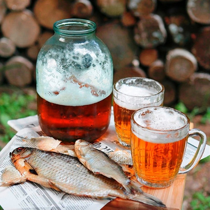 Create meme: beer fish, with beer, roach with beer of the USSR