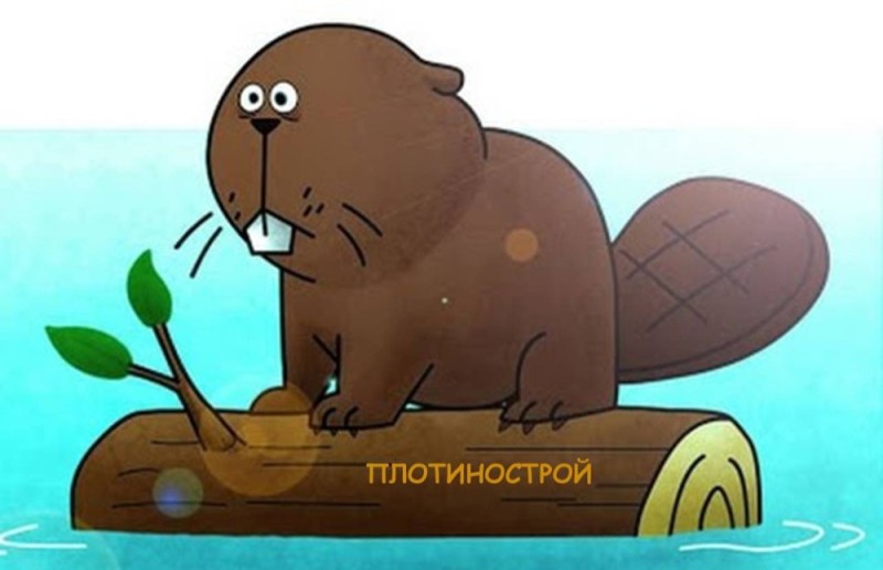 Create meme: beaver , beaver cartoon, funny beavers
