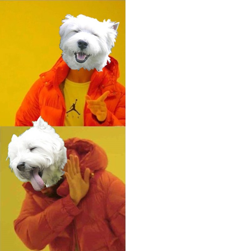 Создать мем: собака, каргин и маргинал, рэпер дрейк мем