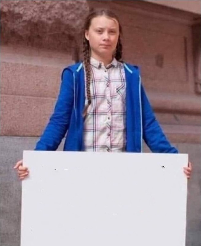 Create meme: Greta Thunberg, greta thunberg meme, memes about Greta Thunberg