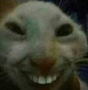 Create meme: cat with teeth, cat smile meme