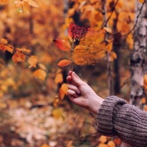 Создать мем: belki neşet değildik ama biz dünyanin rengine kandik, autumn, осень картинки