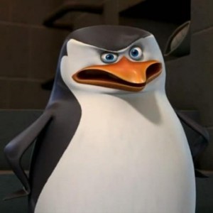 Create meme: penguin, The penguins of Madagascar, skipper not a penguin
