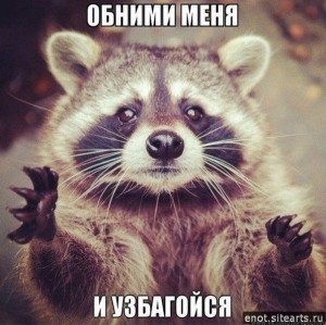 Create meme: enotice hug, enotik, raccoon thanks