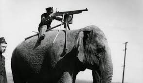 Create meme: wwi, machine gun, elephant