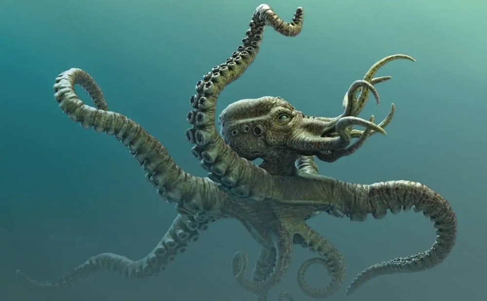 Create meme: kraken sea monster, octopus , kraken octopus