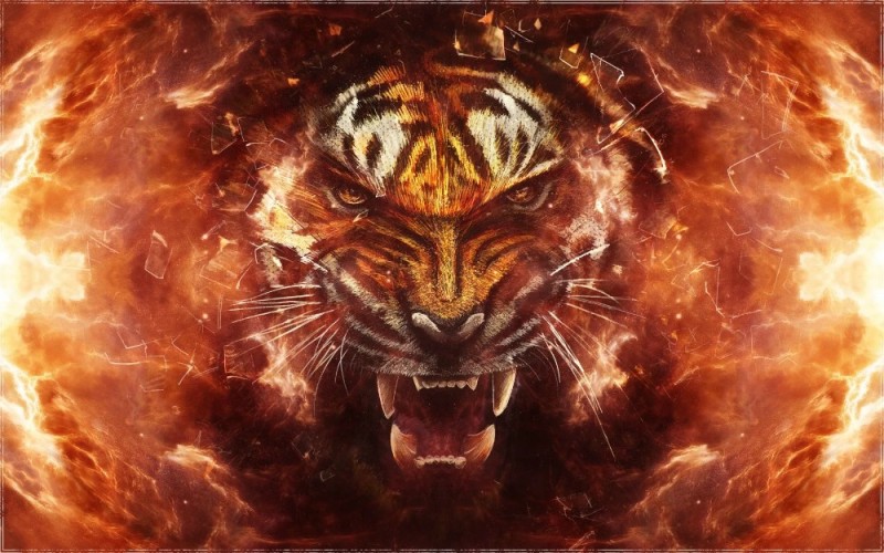 Create meme: fire tiger, tiger , The angry tiger