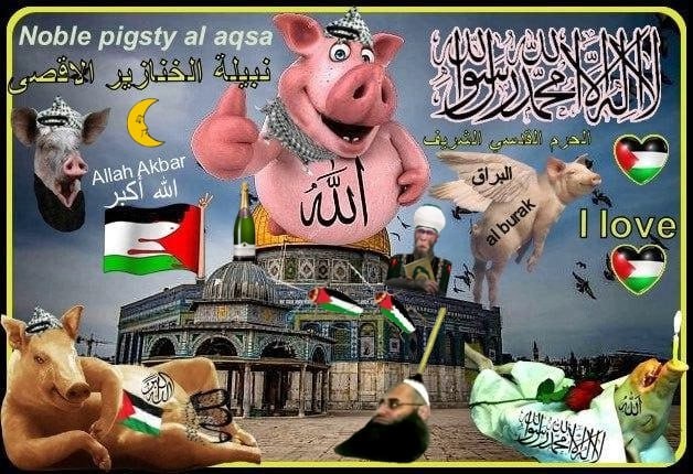 Create meme: pigs are big, pigs, The pig is a Muslim