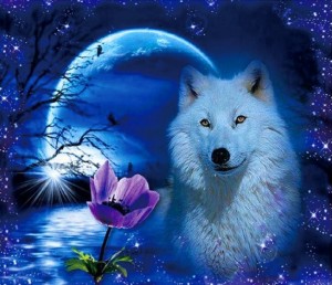 Create meme: wolf with rose, postcard, wolf fantasy