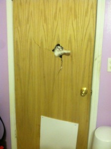 Create meme: cat, the cat in the door meme, cat prankster