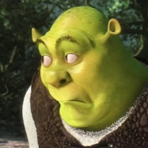 Create meme: looking for torches Shrek, Shrek funny face, Shrek