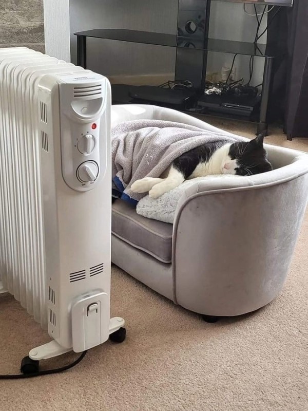 Create meme: heater , electric heater, convector heater