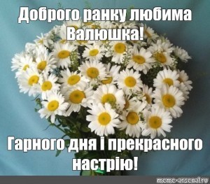 Create meme: bouquet of daisies, chamomile flowers, daisies bouquet