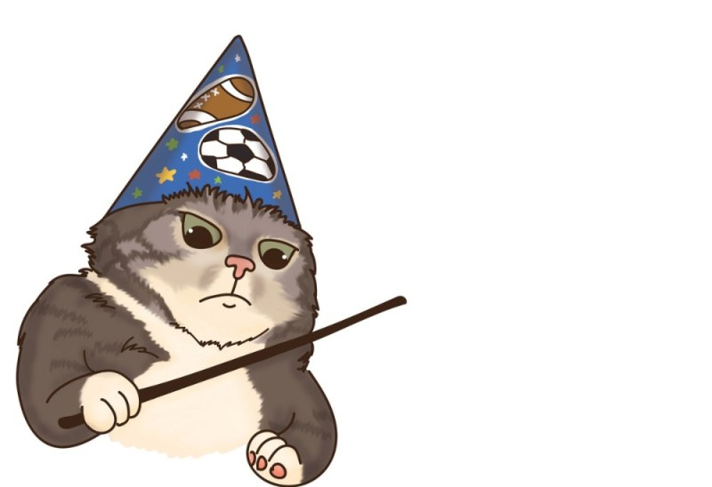 Create meme: the cat is a wizard vzhuh, the cat is a sorcerer vzhuh, whoosh cat