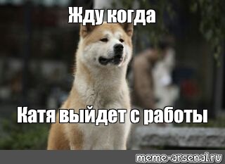 Катя пришли домой